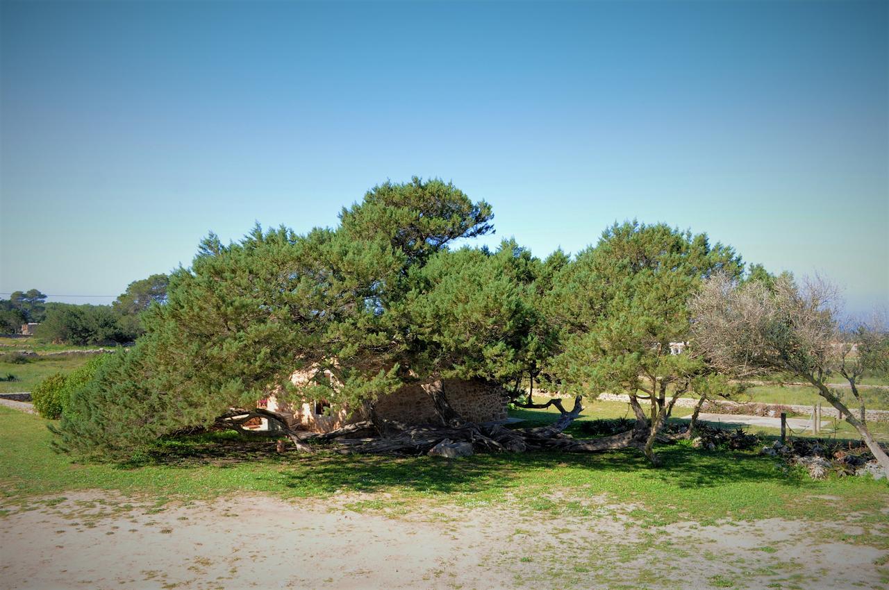 Вілла Siamoformentera Bella San Francisco Javier Екстер'єр фото