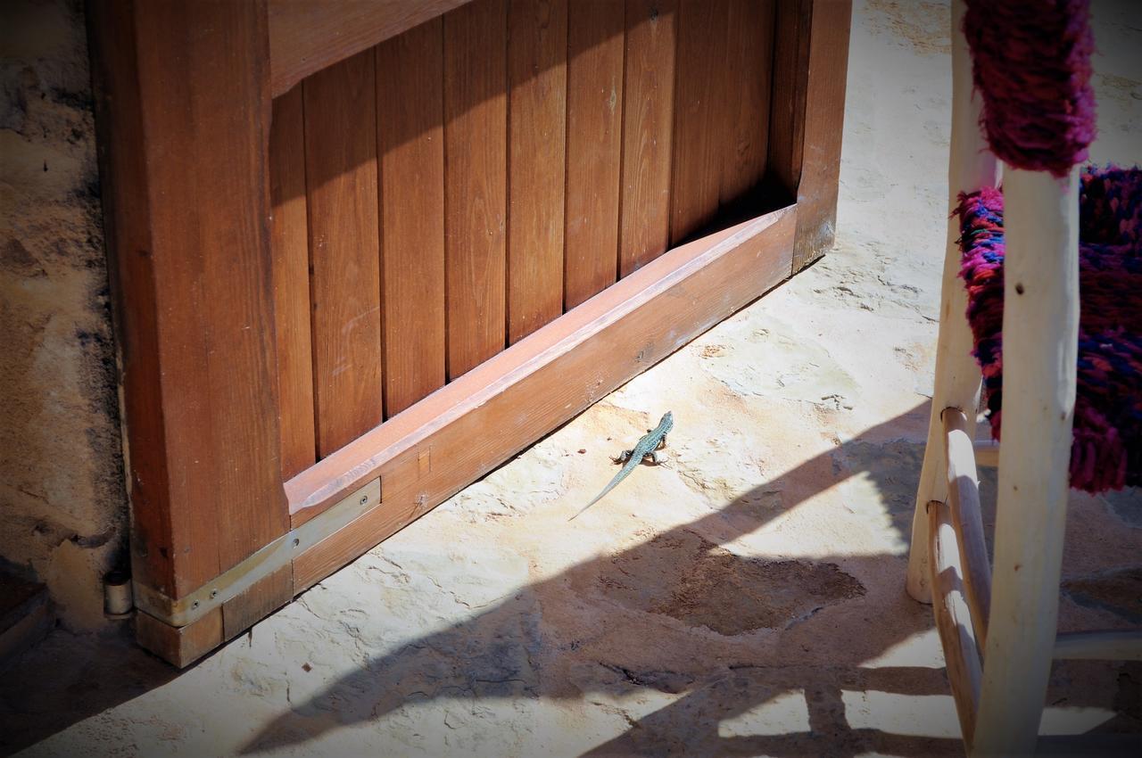 Вілла Siamoformentera Bella San Francisco Javier Екстер'єр фото